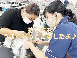 １年生のトリミング実習♪